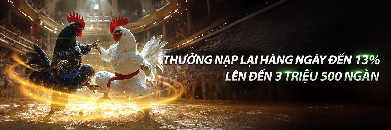 Tin tức mới nhất từ nhà cái 8kbe